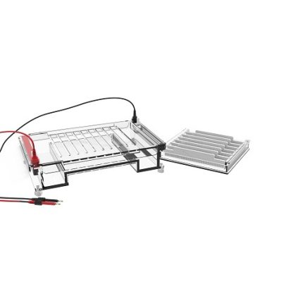 celulă de electroforeză orizontală cu debit mare