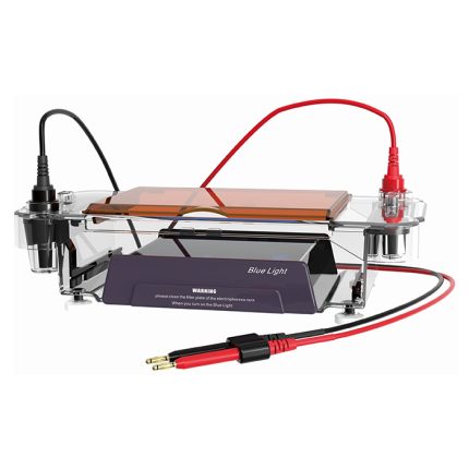 celulă de electroforeză orizontală cu iluminator cu lumină albastră