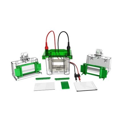 mini celulă de electroforeză verticală